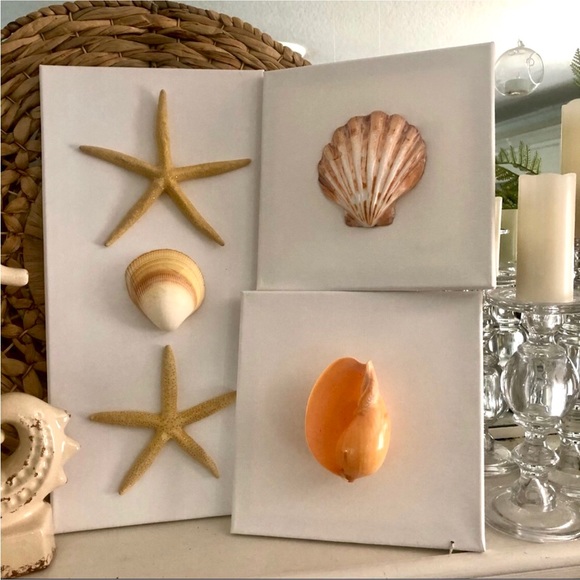 NWT! Natural 8” Starfish Seashell Canvas Wall Art - Picture 5 of 8